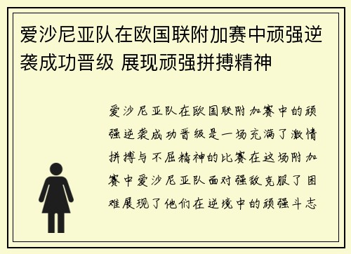 爱沙尼亚队在欧国联附加赛中顽强逆袭成功晋级 展现顽强拼搏精神