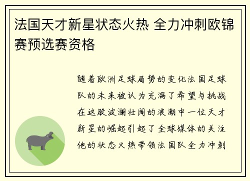 法国天才新星状态火热 全力冲刺欧锦赛预选赛资格